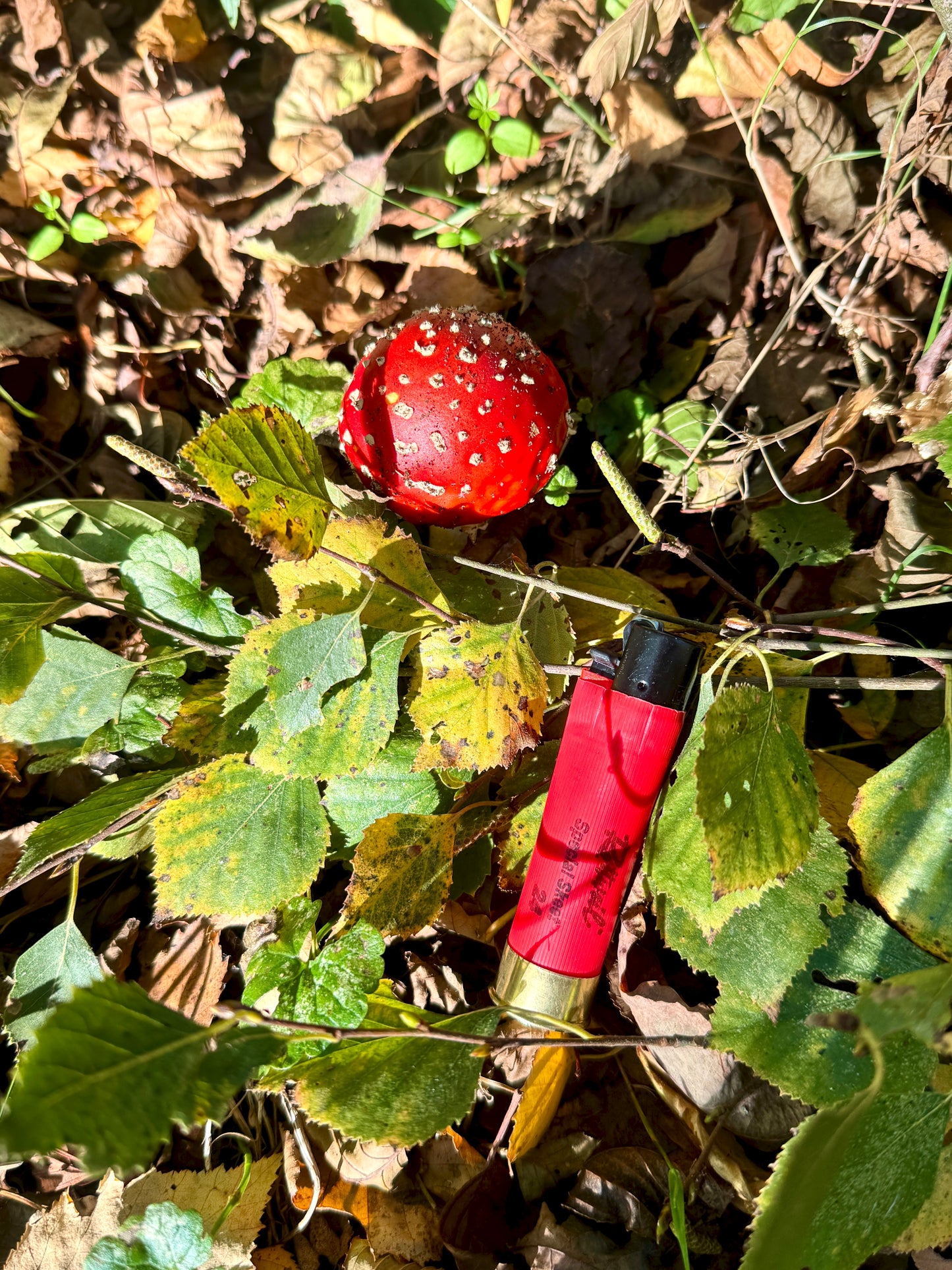 Schrot Feuerzeug