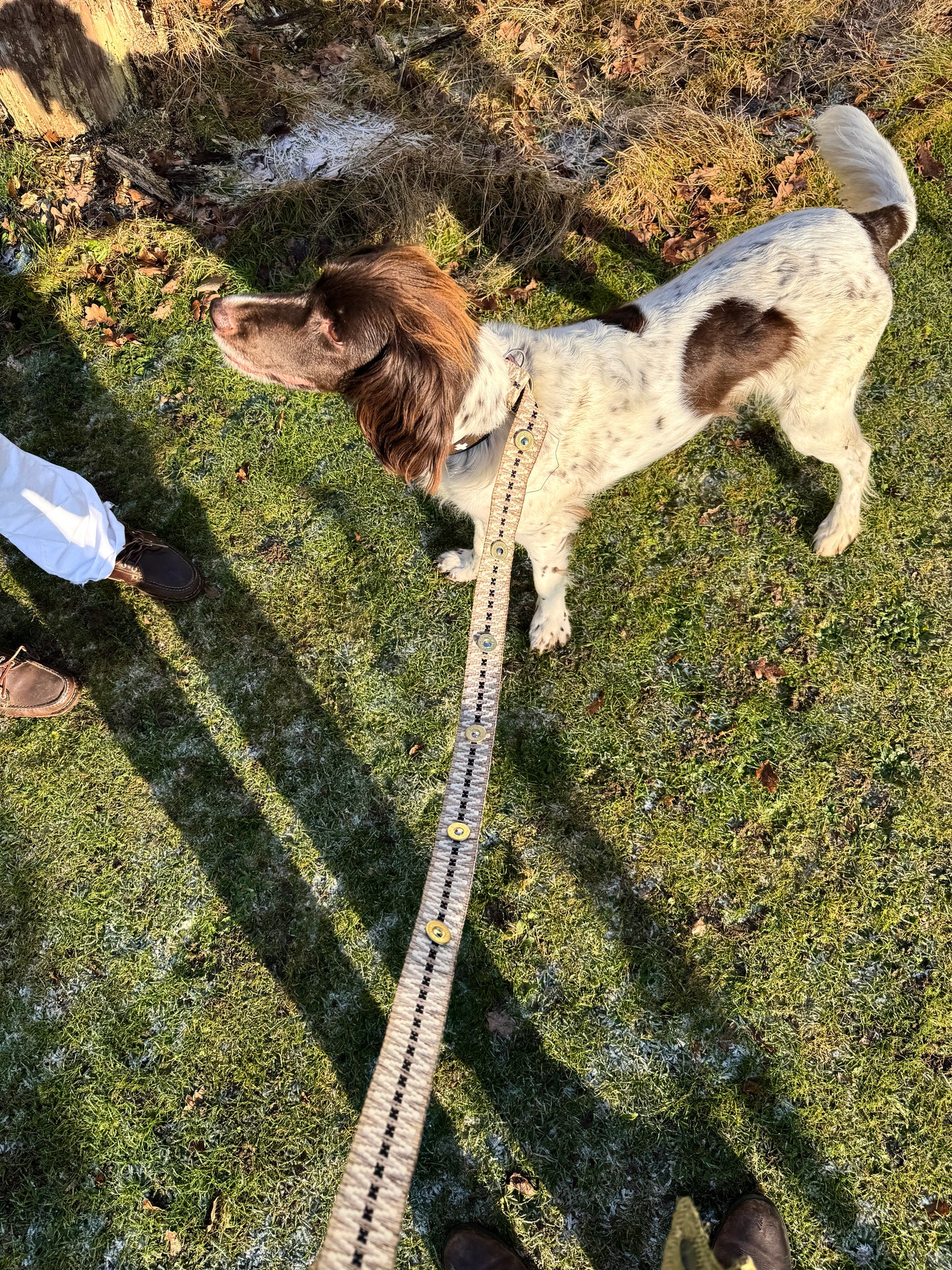 Cartridge belt "Sandy"