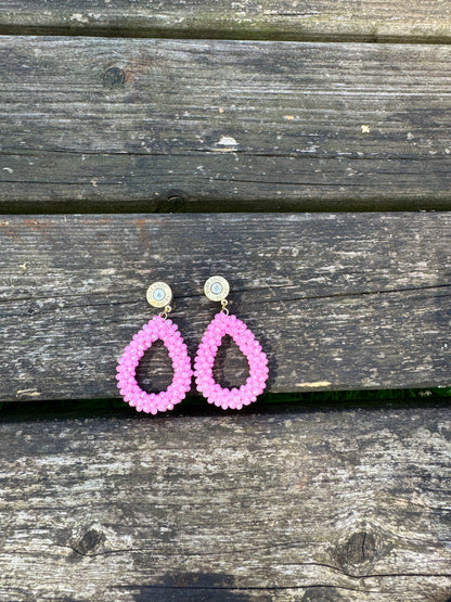 Felicity in Rosa