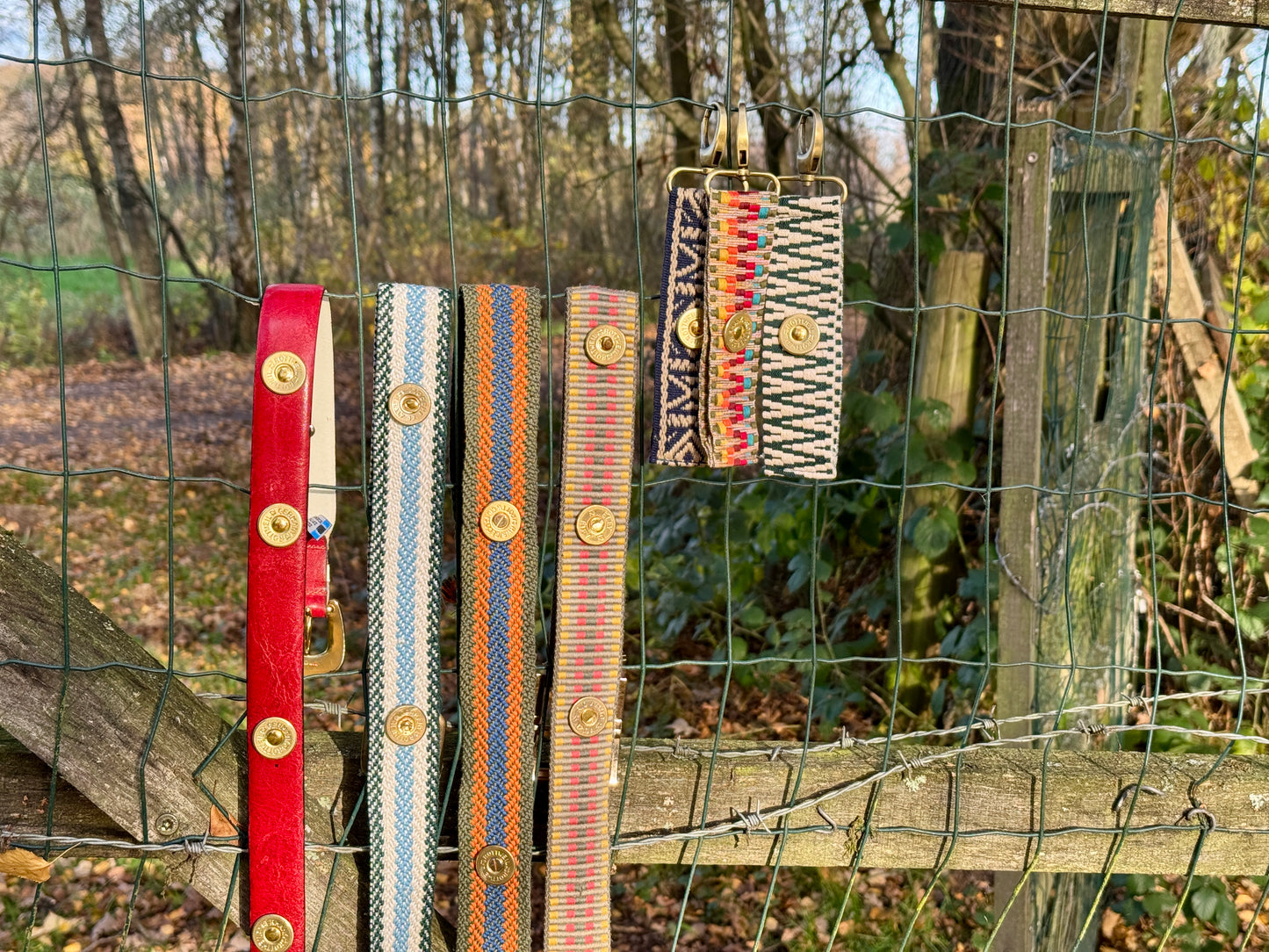 Choose your own color Belt