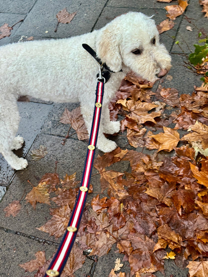 Hundeleine "Aika"