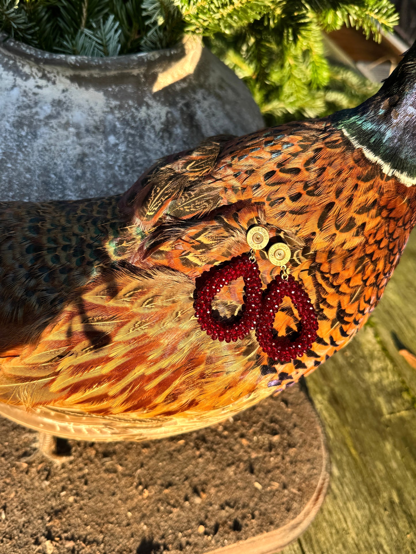 Felicity in Bordeaux